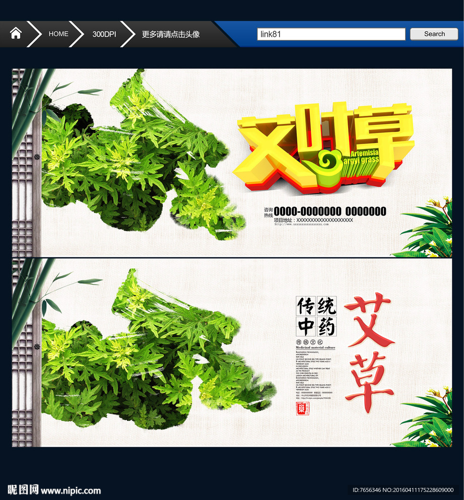 艾叶草 中国风