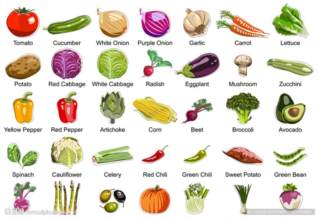 手绘蔬菜