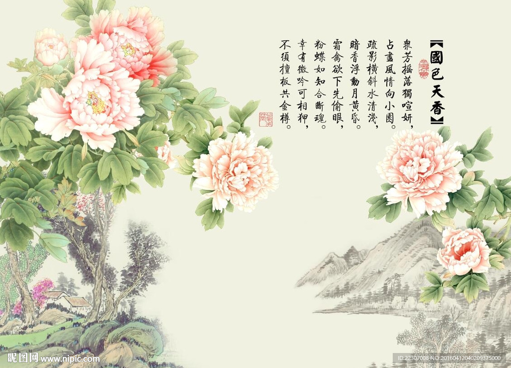 国色天香牡丹花