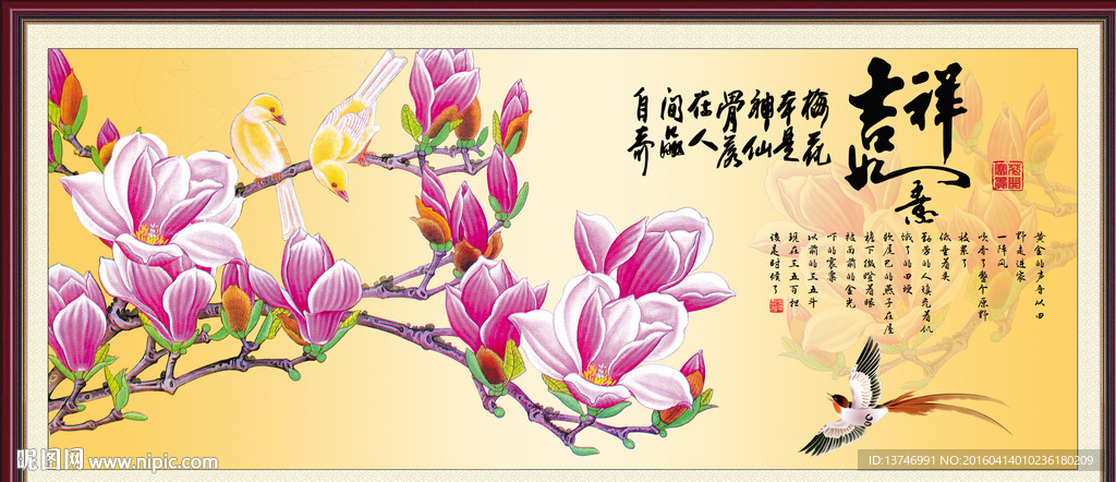 玉兰花