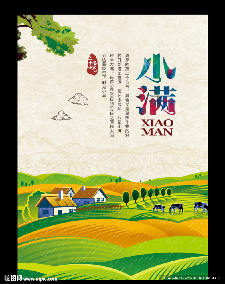 小满二十四节气海报