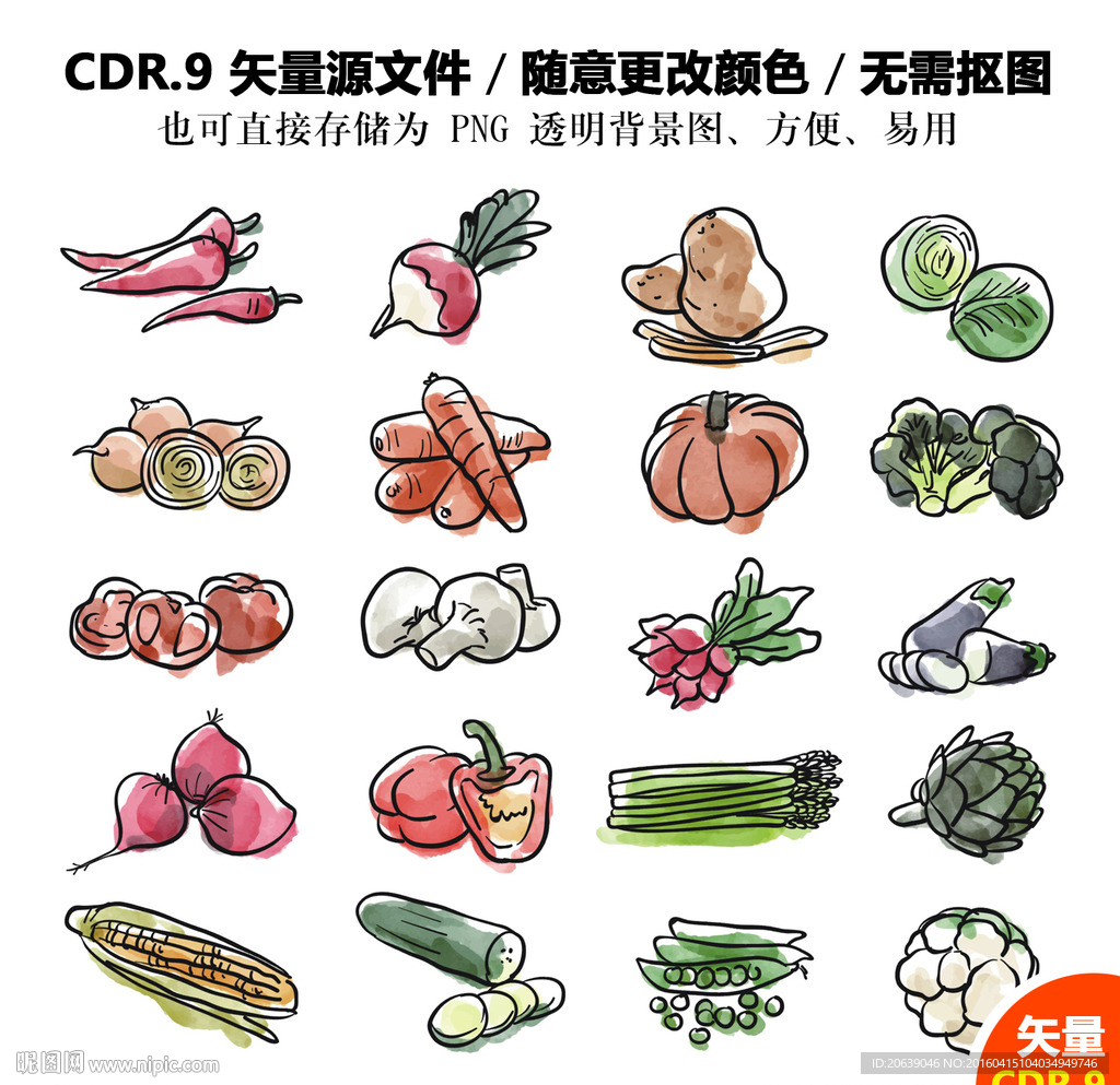手绘蔬菜线描矢量图
