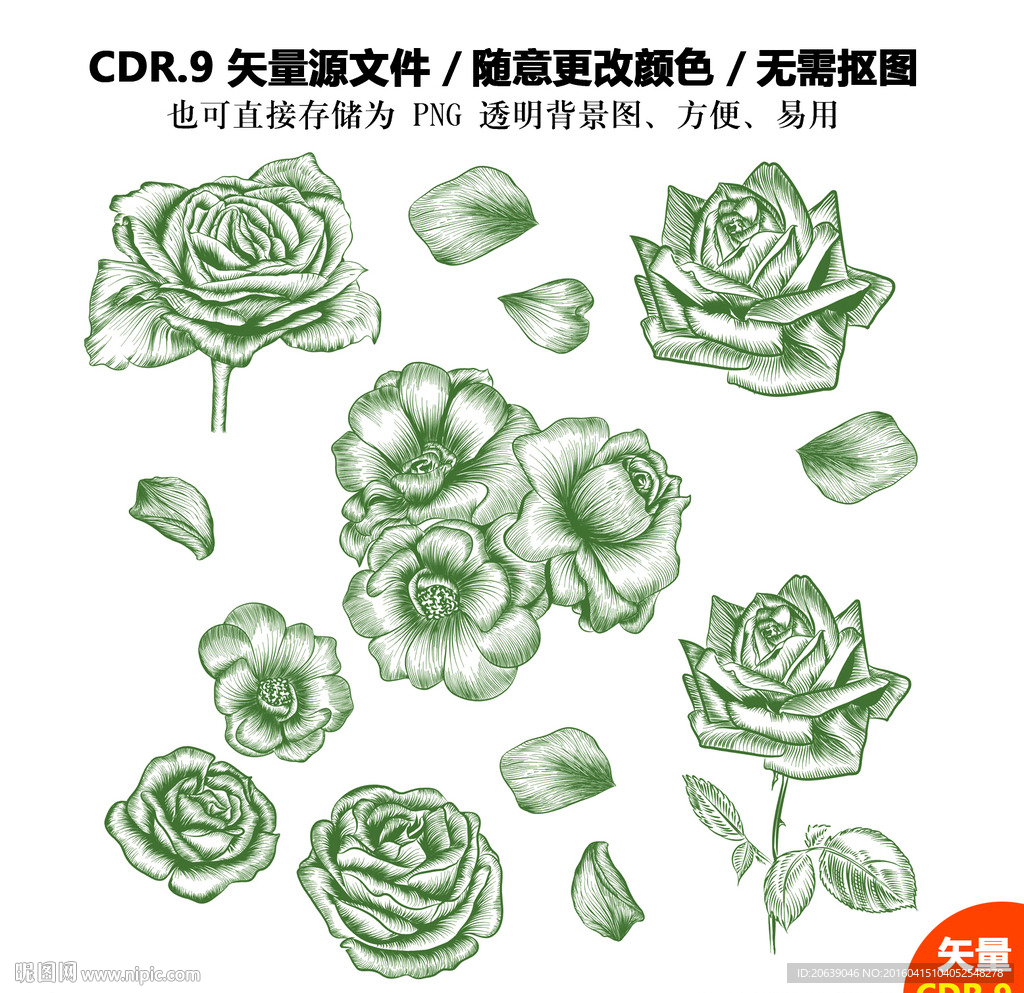 手绘线描玫瑰花矢量图