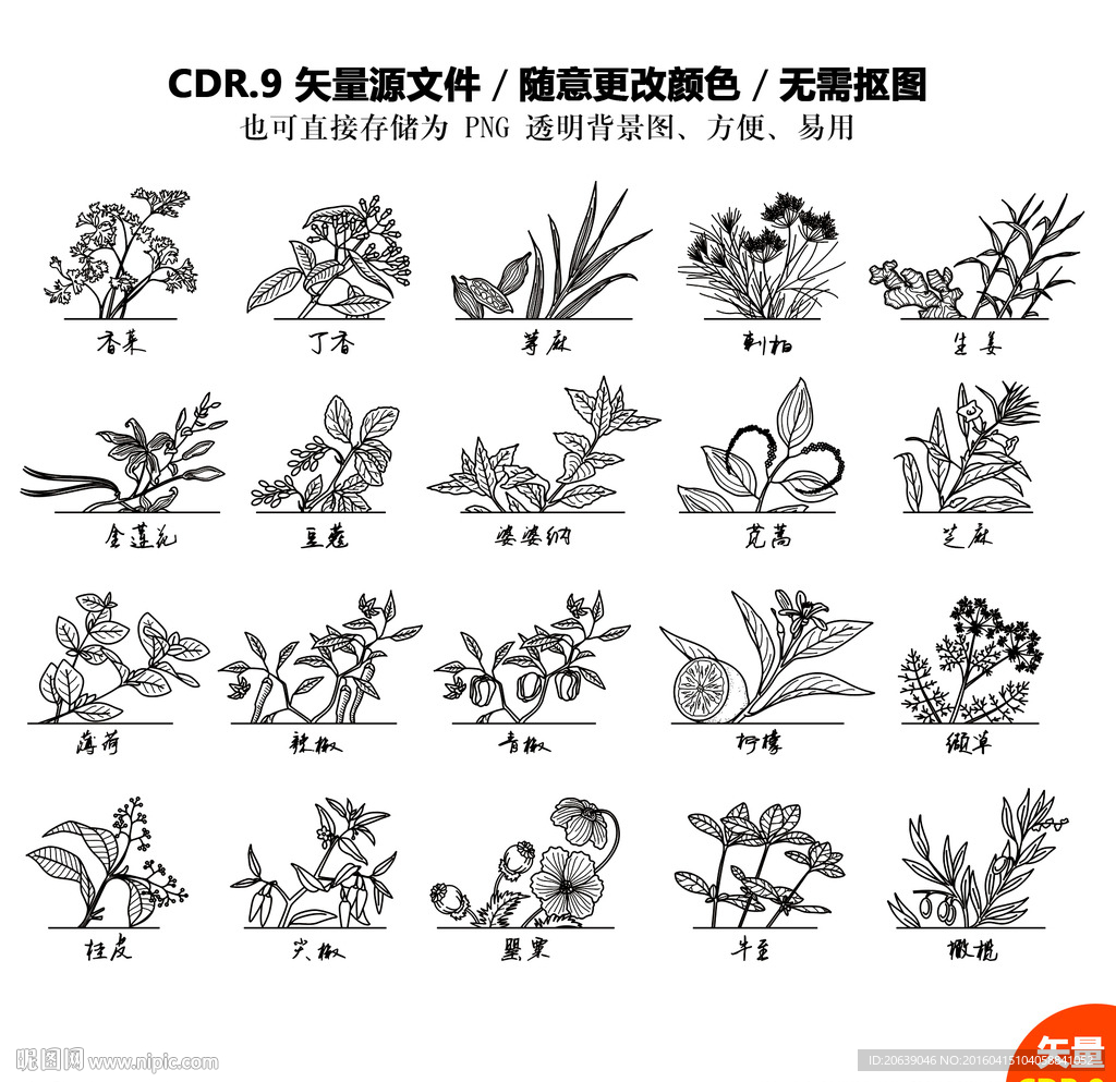 45种中草药植物图片,有你喜欢的中草药图片吗？ - 知乎