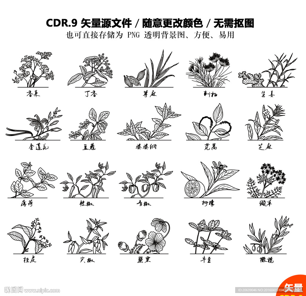 手绘植物草药矢量图