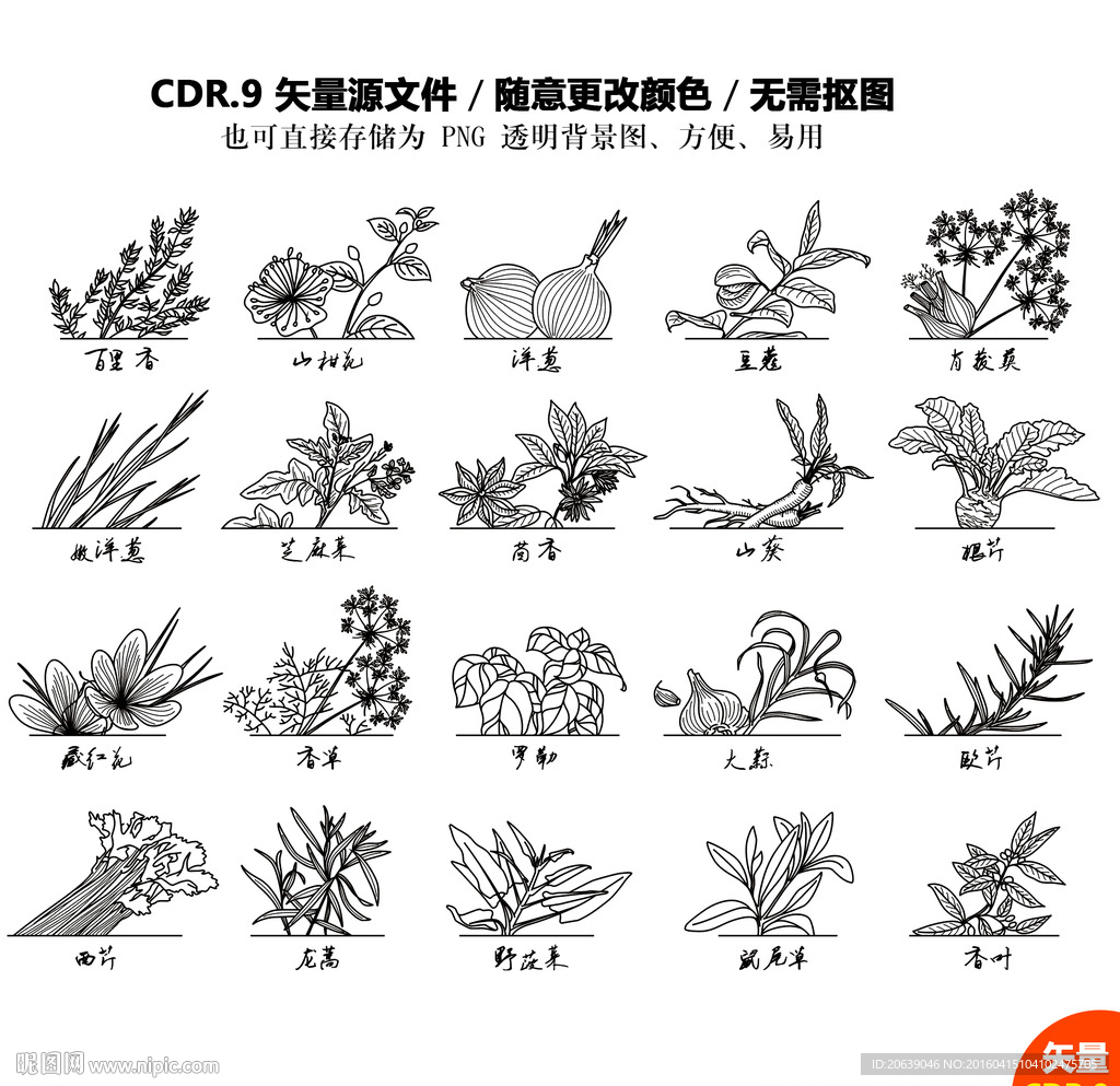 手绘植物蔬菜矢量图