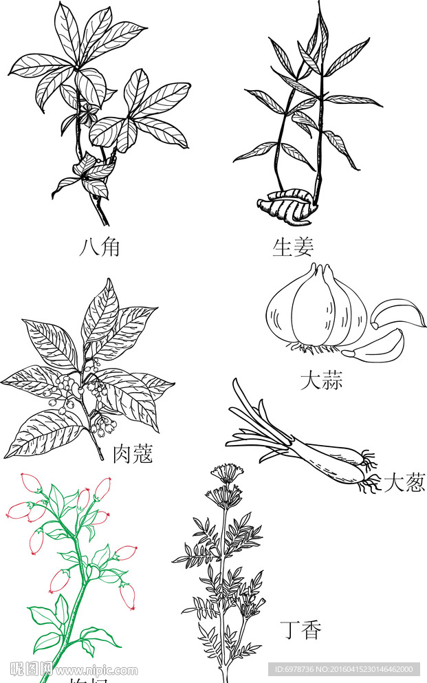 手绘大料