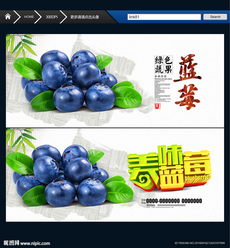 蓝莓 中国风