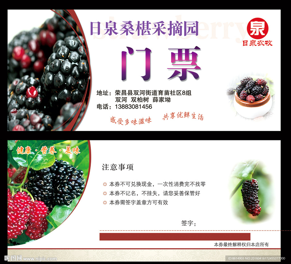 桑果采摘券