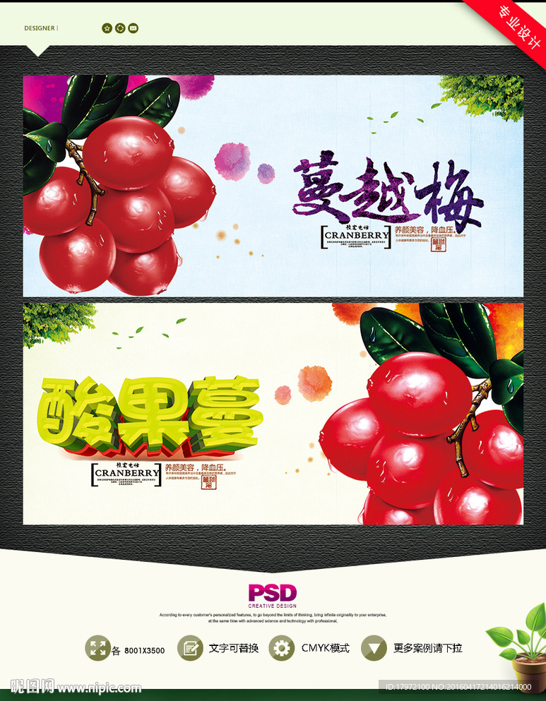 蔓越莓 酸果蔓