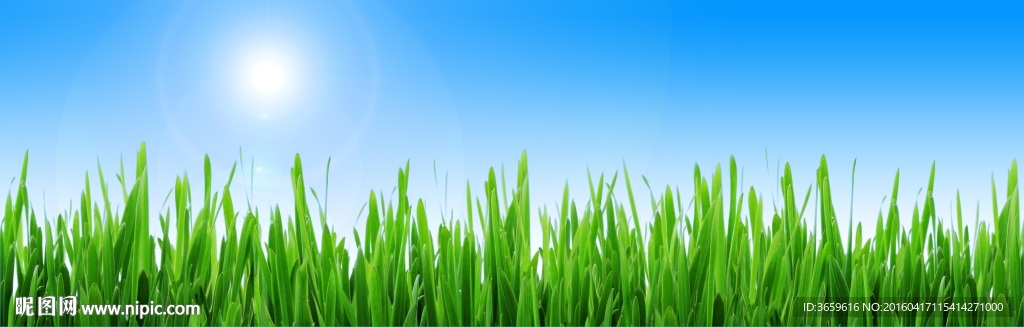 蓝天 草丛