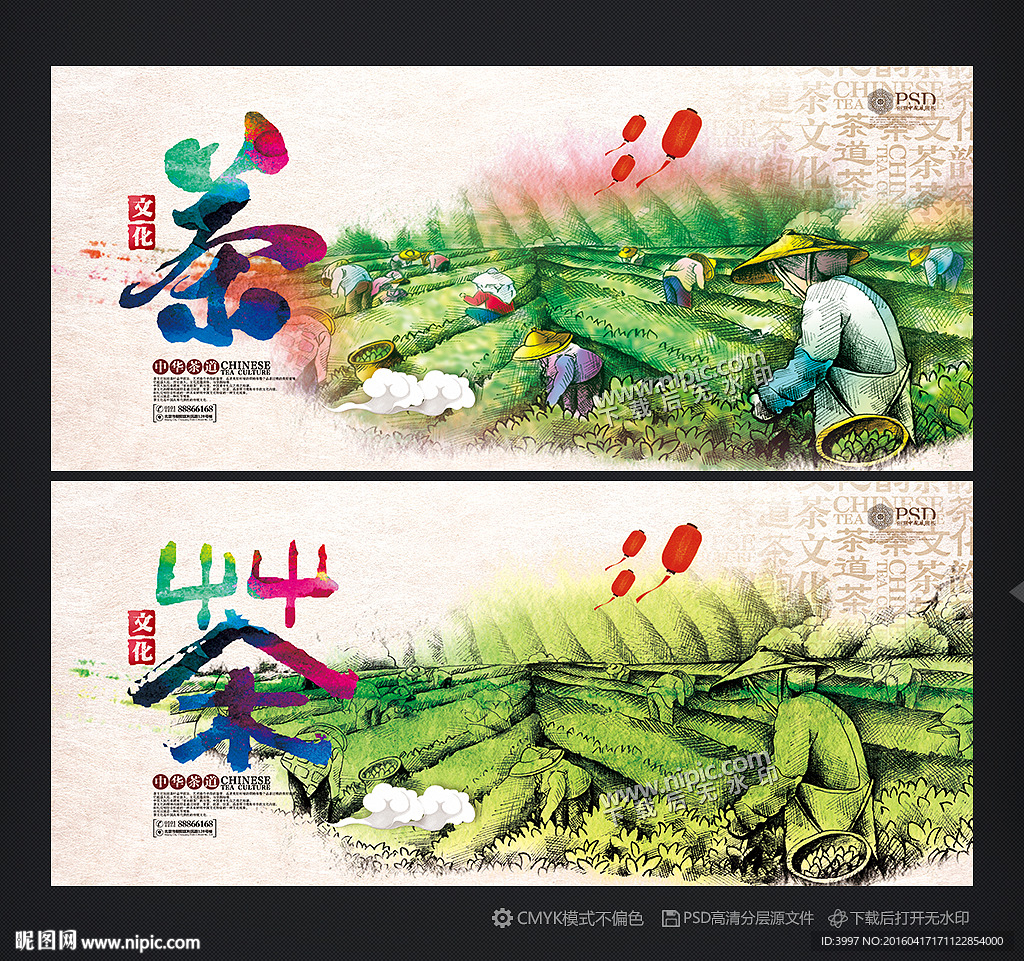 茶