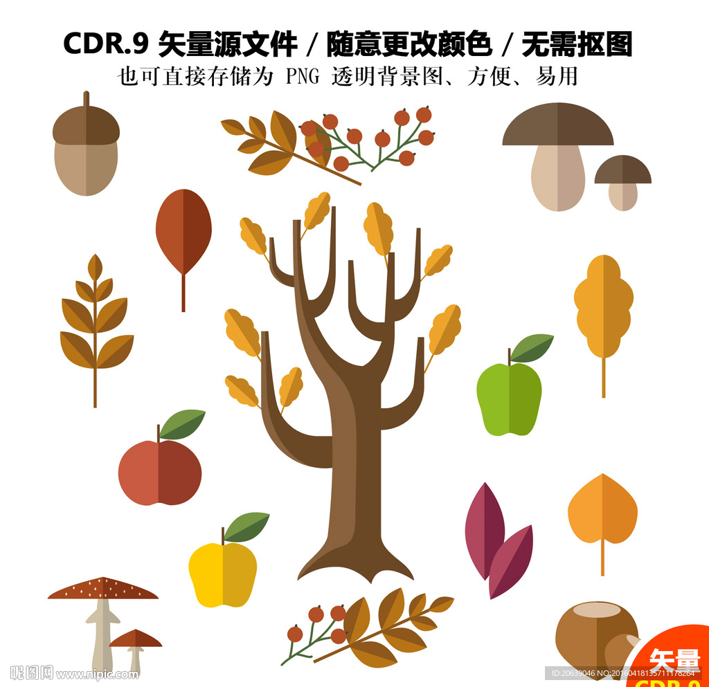 手绘树木榛果矢量图