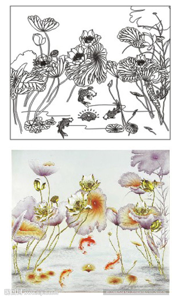 荷花鱼