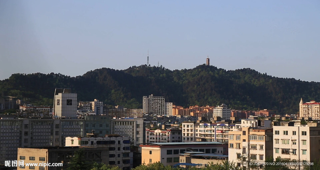 城市 塔 鸽子 走动的影子