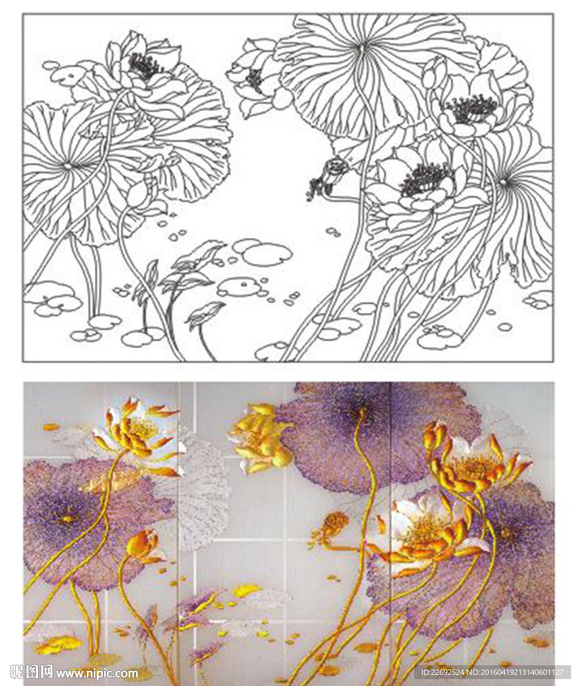 荷花