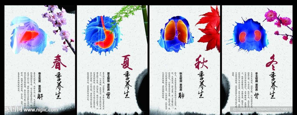 春夏秋冬四季中医养生