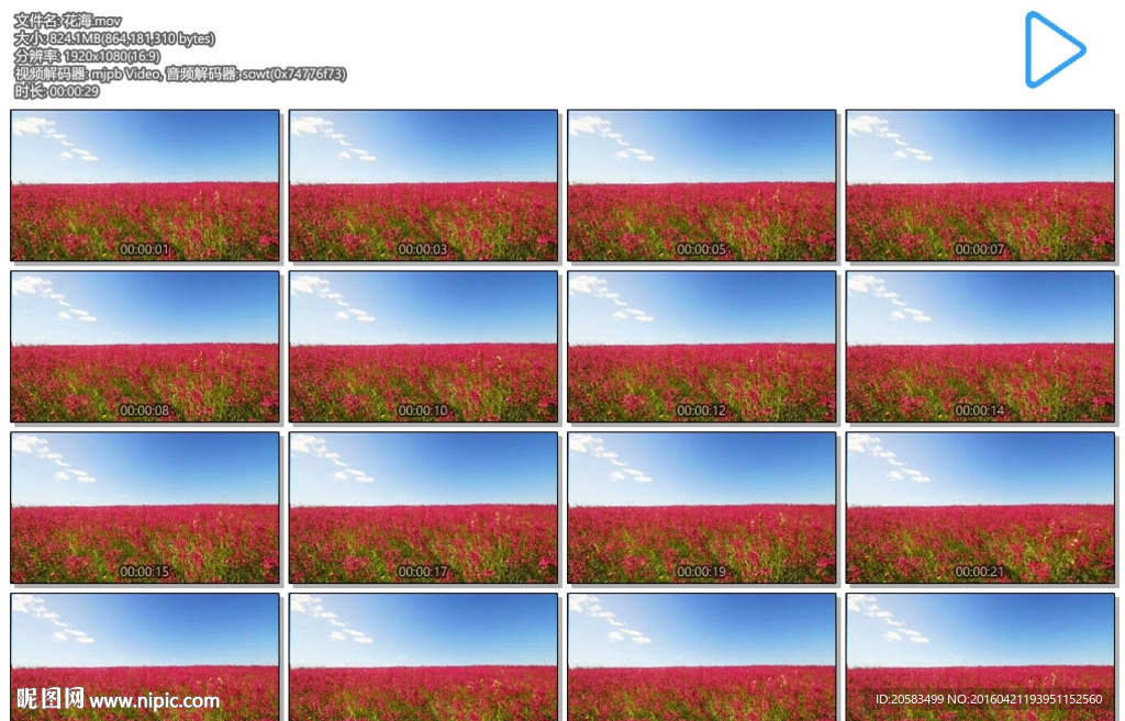 花海
