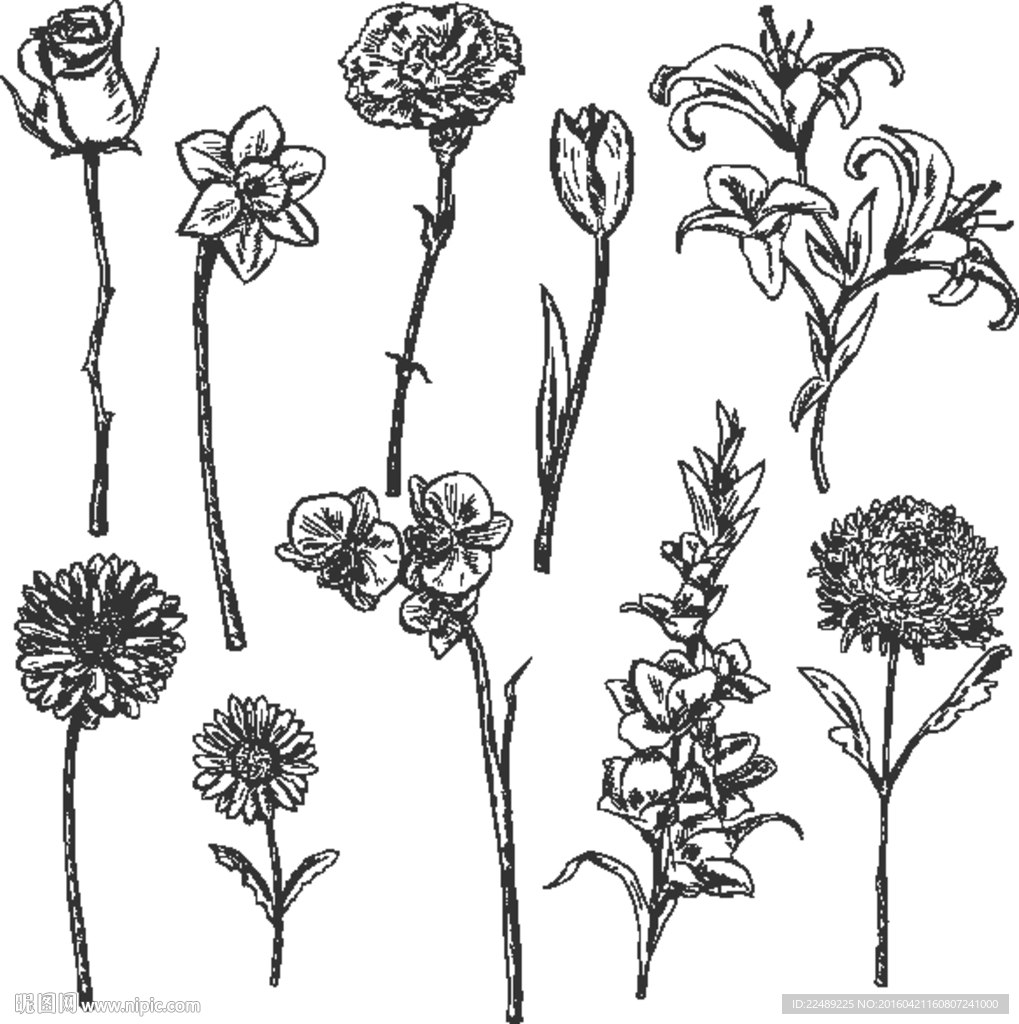 潮流工作室（内含高清分层图）