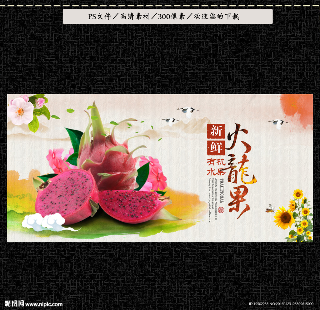 火龙果