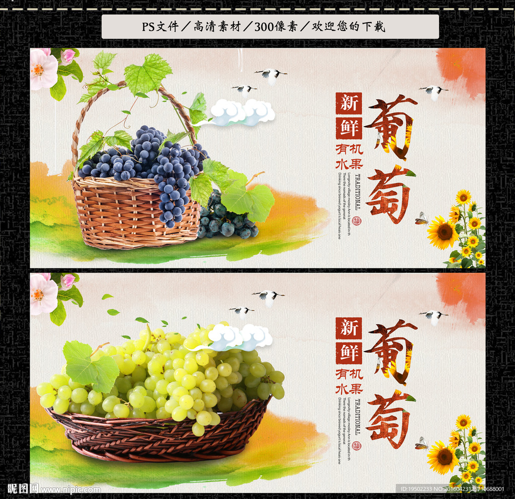 葡萄