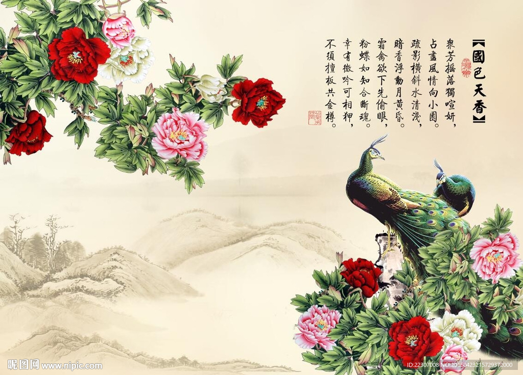 国色天香牡丹花