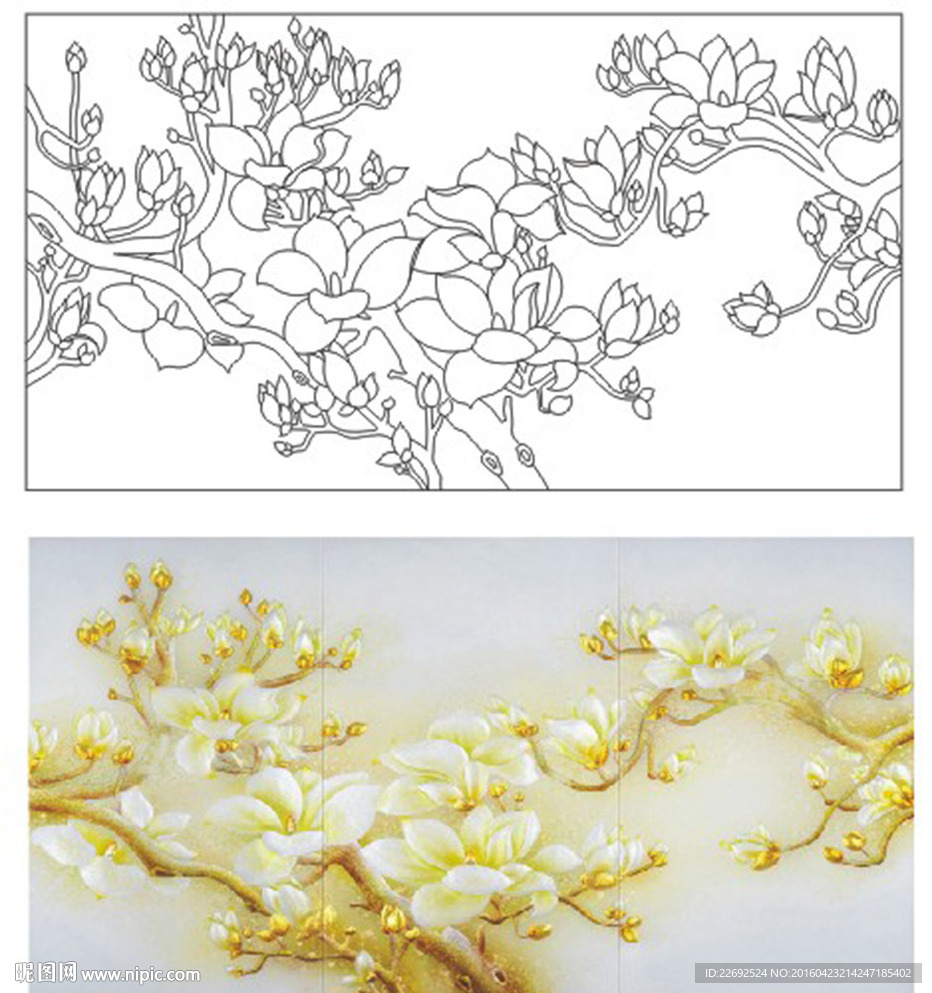 玉兰花