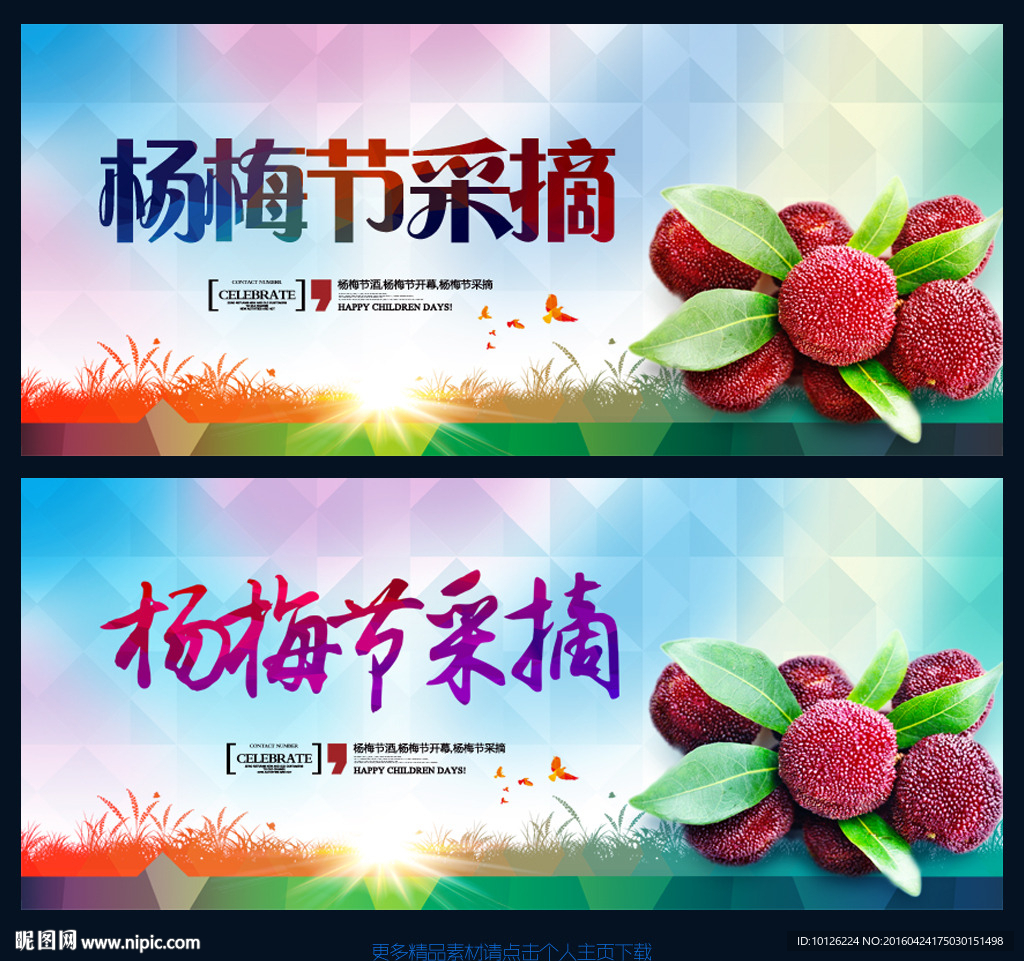 杨梅节