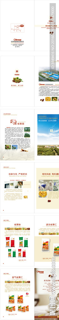 板栗深加工产品样册