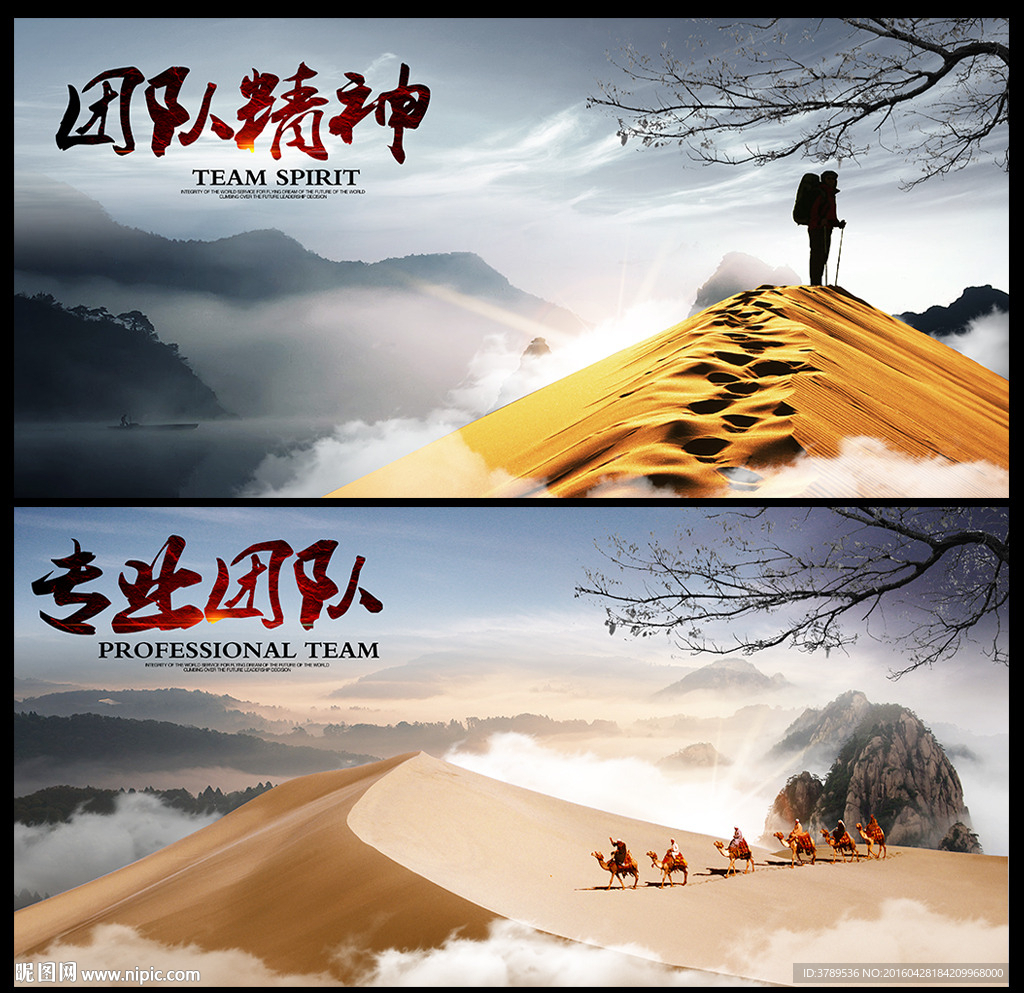 专业团队