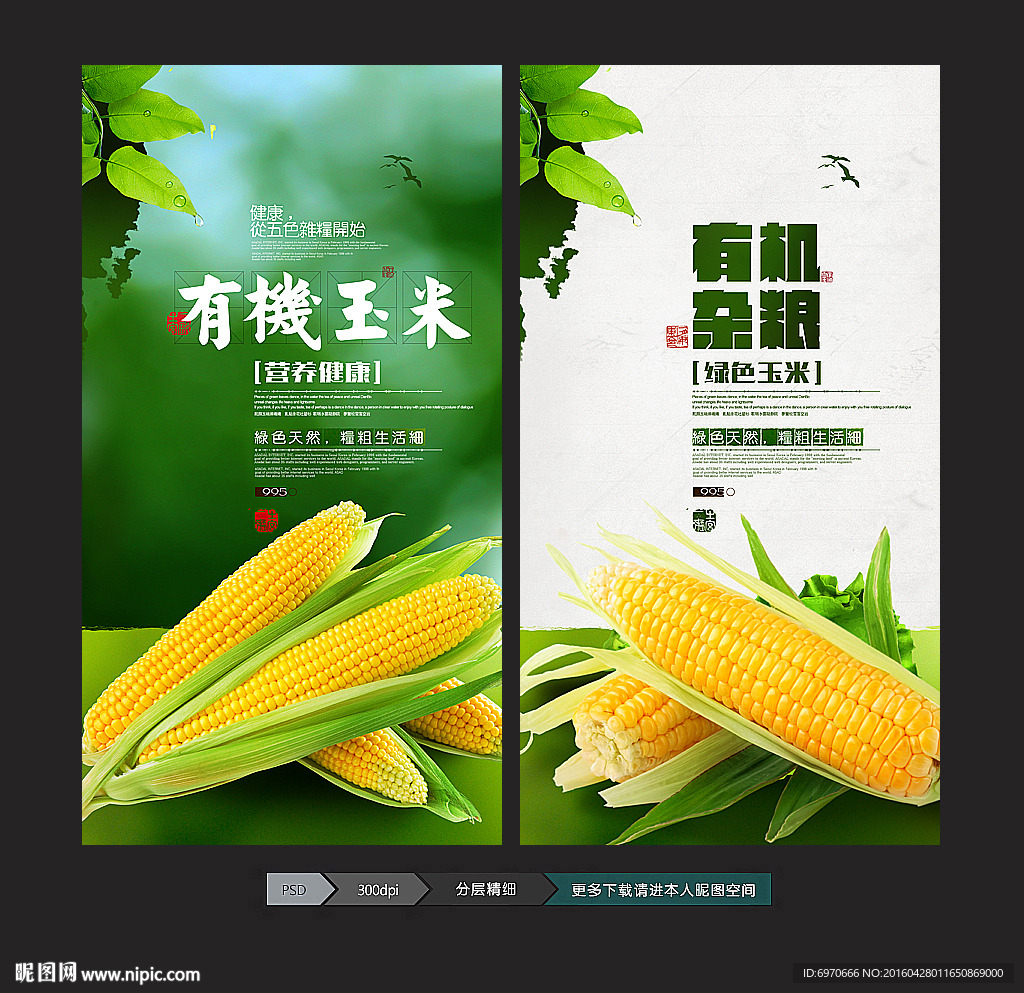 玉米