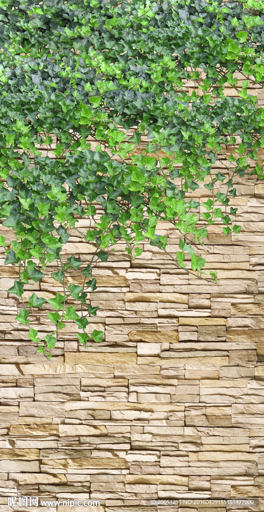 3d玄关花藤背景墙