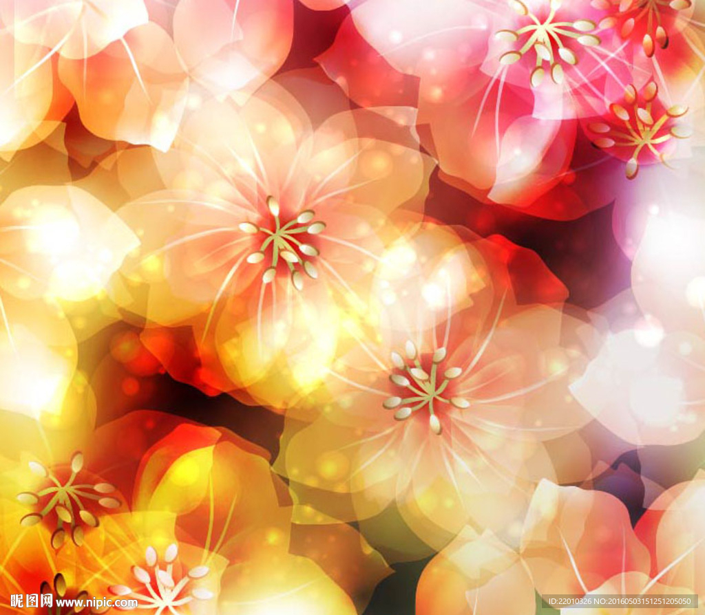 梦幻花朵