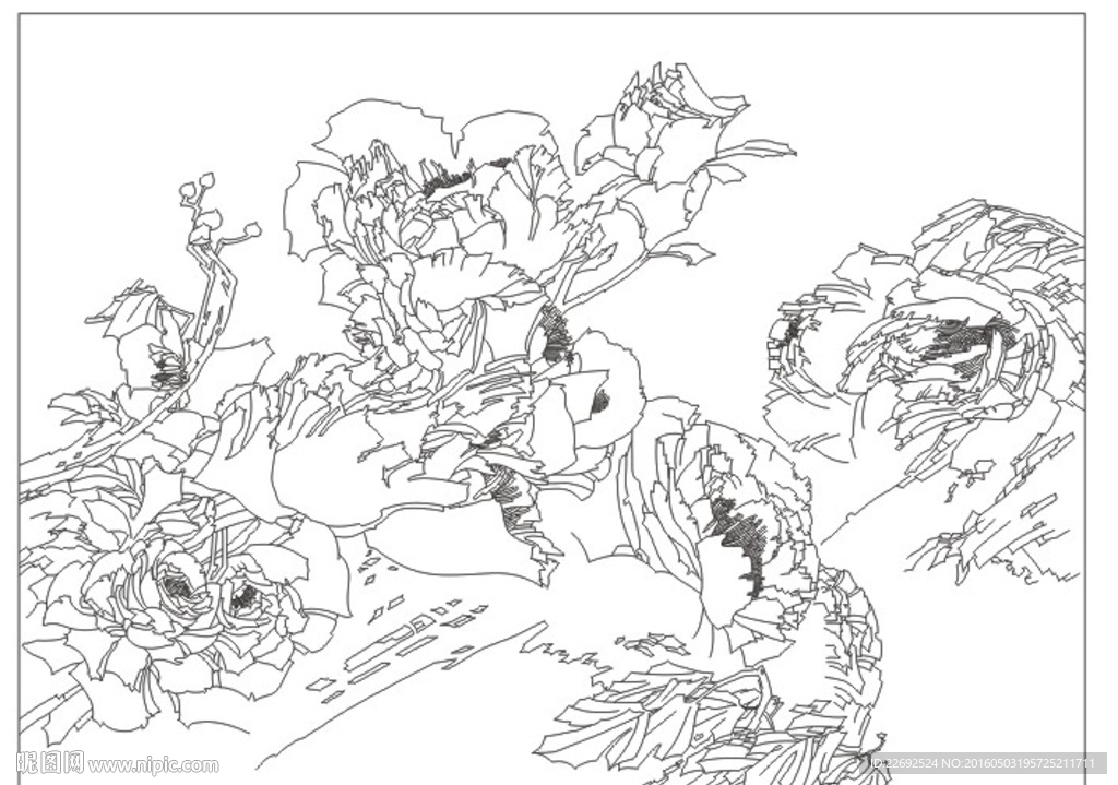 金牡丹