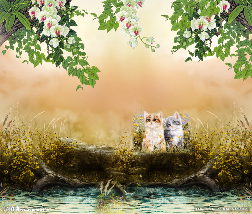 花鸟图 猫