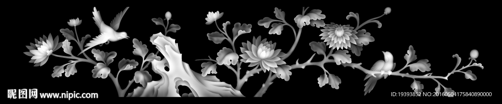 菊花灰度图