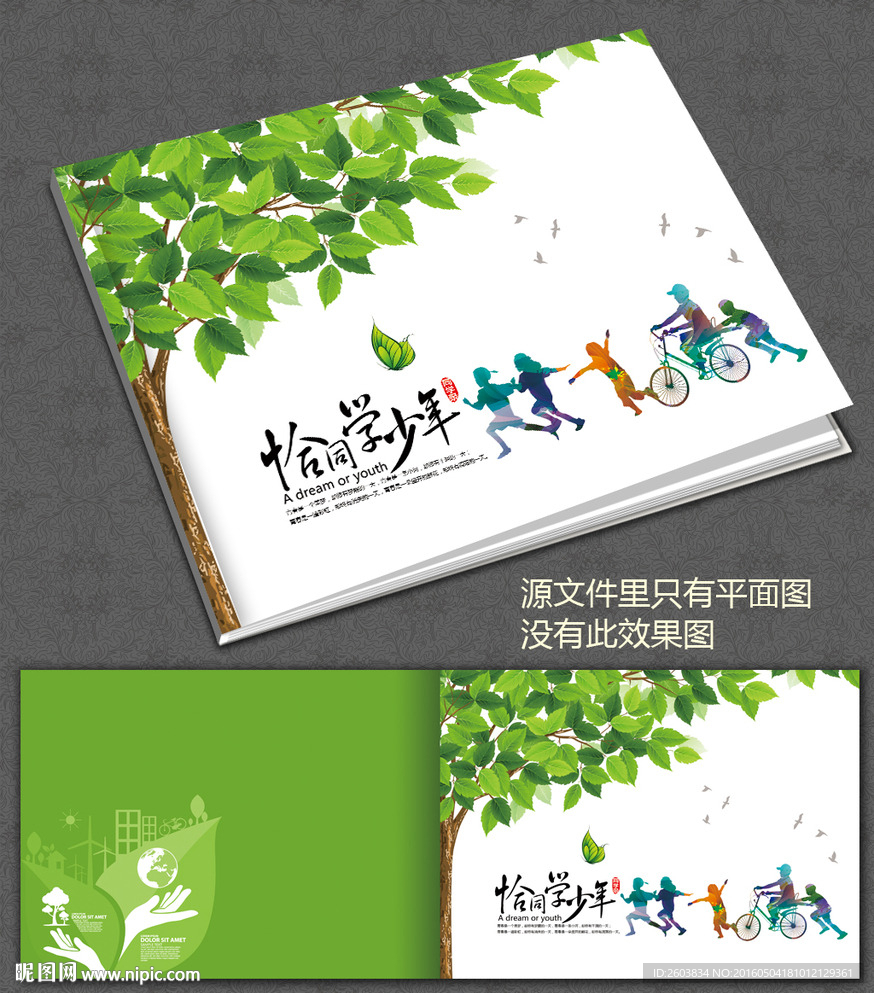 恰同学年少同学录封面