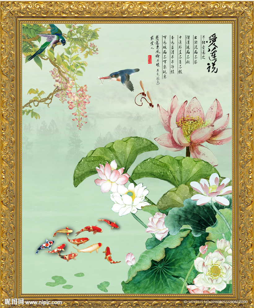 荷花图