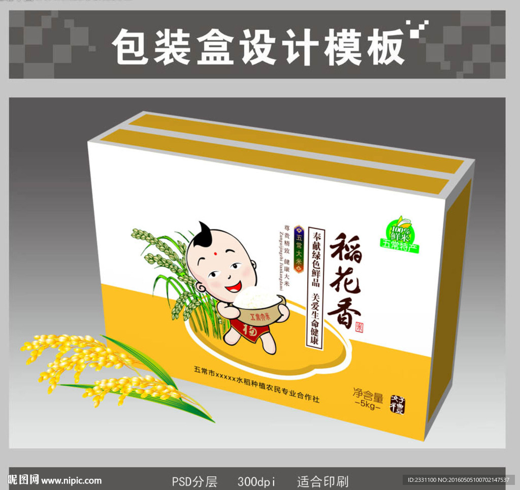 大米箱展开图