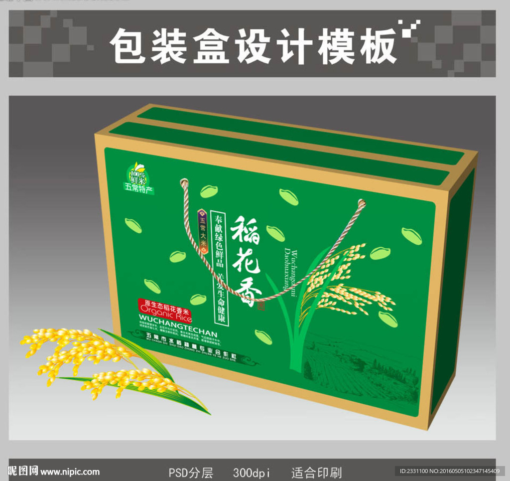 大米箱展开图