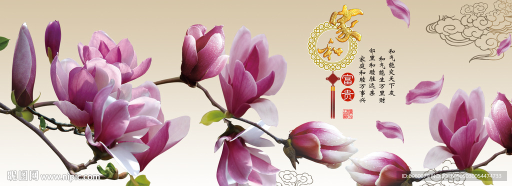 玉兰花