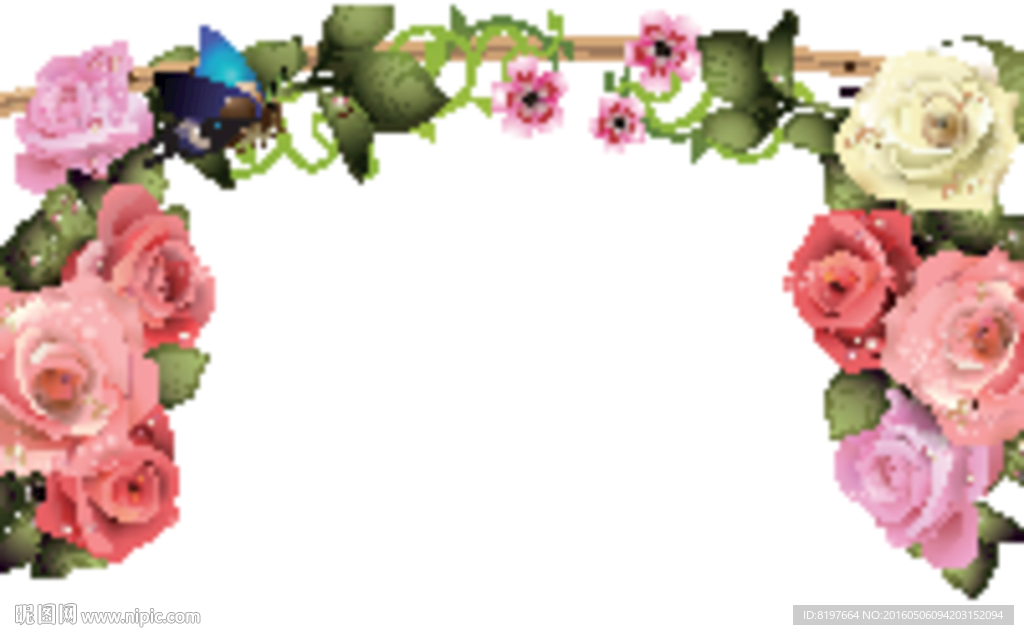 手绘逼真花卉玫瑰