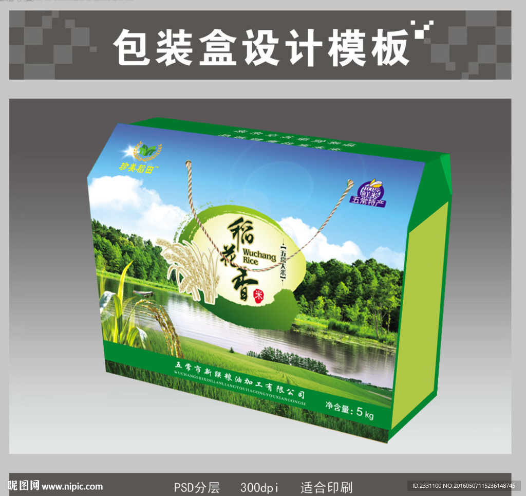 大米箱展开图