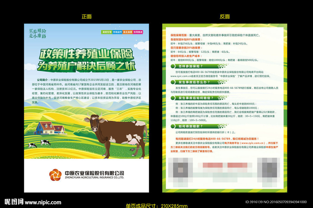 中原农业保险单页设计