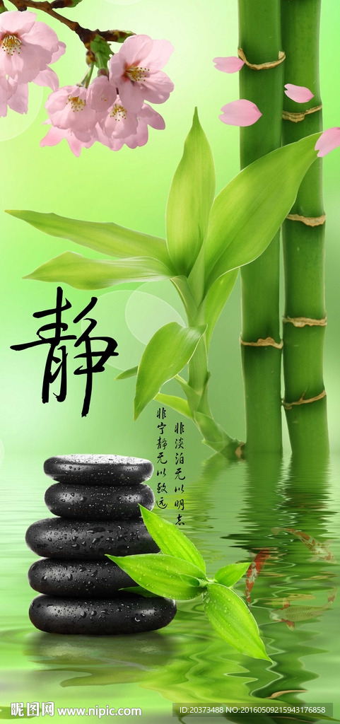 清新唯美静玄关背景墙