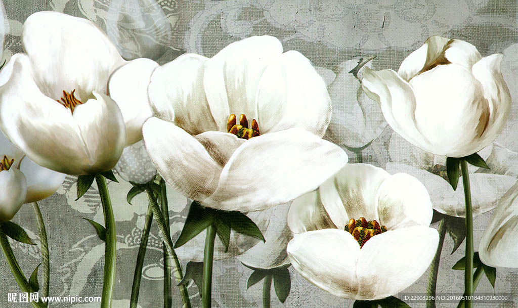 优美白色花朵花卉植物背景墙