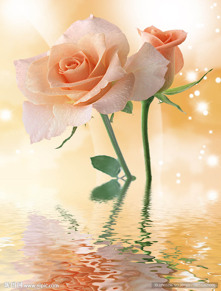 浪漫玫瑰花朵花卉玄关图片