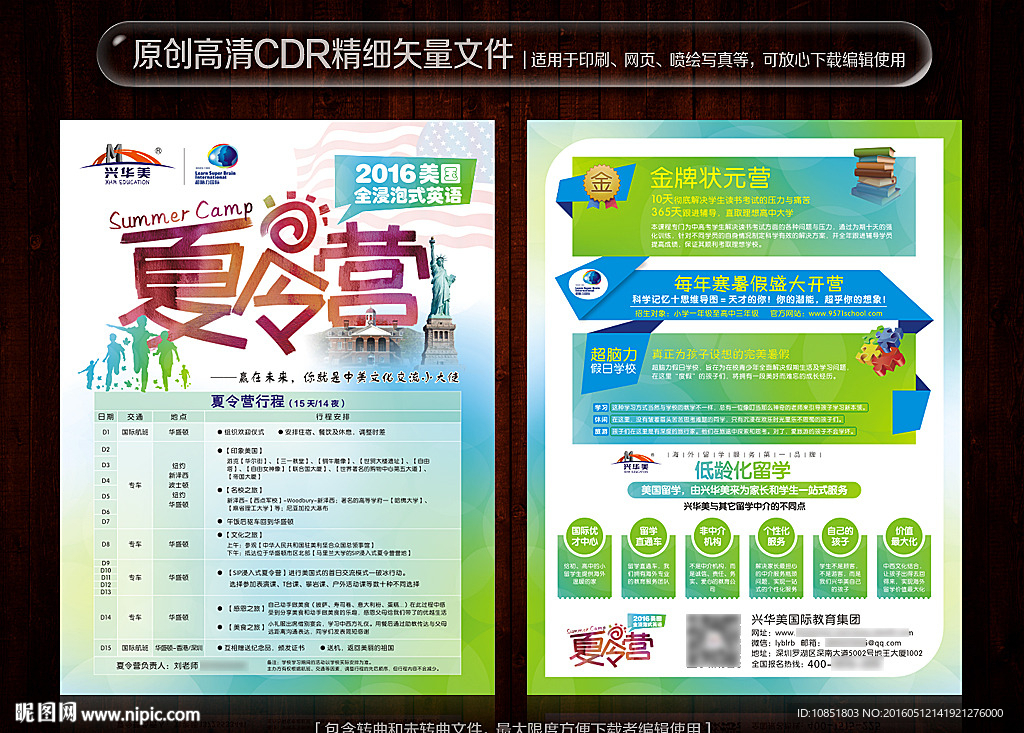 教育公司夏令营宣传单设计