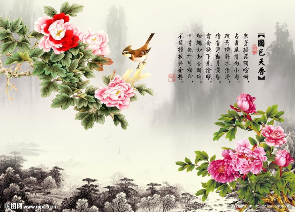 国色天香牡丹花