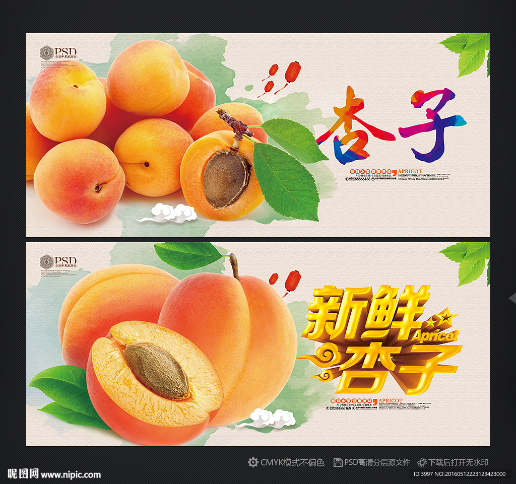 杏子